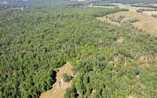 Land with Utilities for Sale in Salem, MO