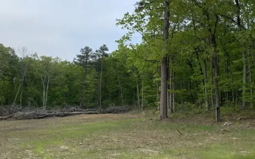 12.5 mostly wooded acres on South Mountain in Marshall, AR