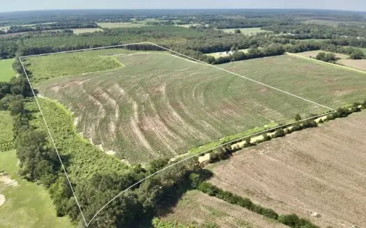 73 beautiful acres in the heart of Geneva County