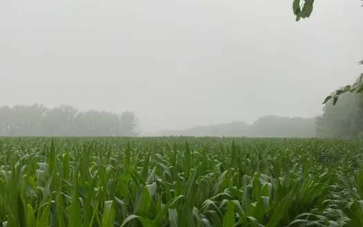 50 Acres of Prime Tillable and Woodland in Franklin, IN