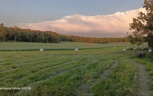 Cattle Ranching & Recreation on this Expansive 428-Acre Ranch