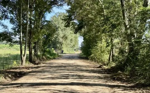 65 +/- Tindil Creek Road, Slocomb, AL for sale