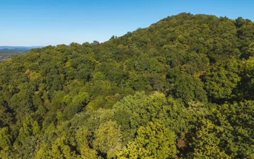 East Tennessee Hunting Property for Sale in Hawkins County