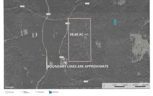 East Texas Timber Tract For Sale