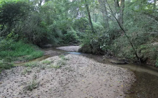Eleven acre oasis right outside of Athens, GA