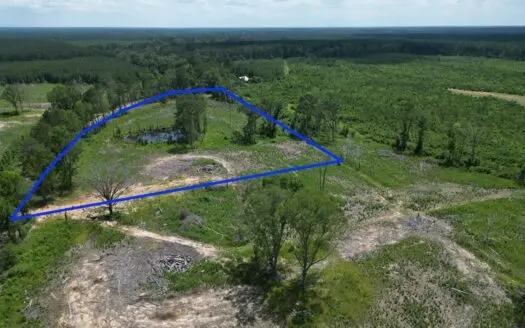 Land for Sale in Amite County, MS