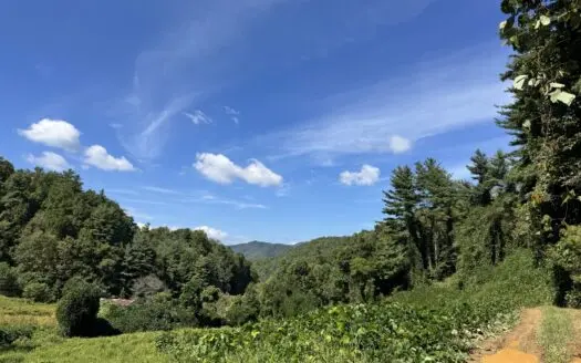 Large Mountain Property For Sale In Madison County