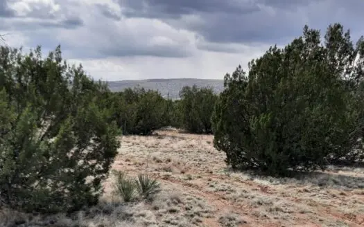Northern Arizona Country Parcel