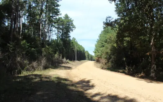 Recreation and Timber Investment Property Amite County Gloster MS
