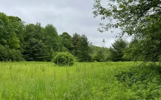 Hunting Acreage For Sale in Herkimer County New York