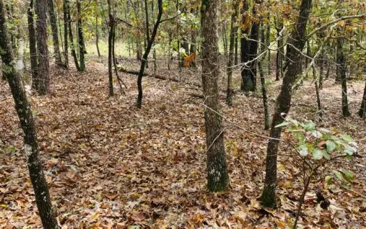 Prime Hunting Land For Sale In North Central Arkansas