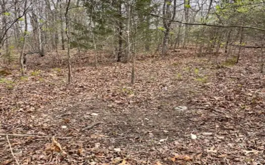 10 Acre Property With Highway Frontage