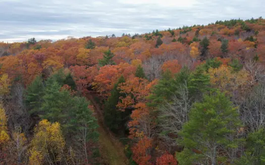 10 Acres on Quiet Dead End Road