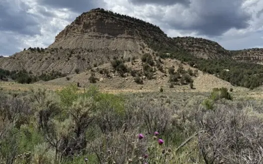 FOR SALE 35 acres bordering Mesa Verde National Park