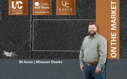 80 Wooded Acres in the Missouri Ozarks