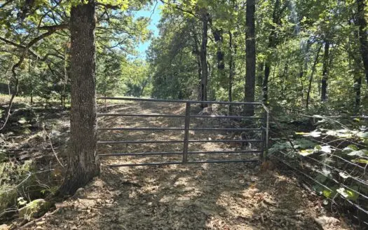 40 Acre Recreational Property – For Sale