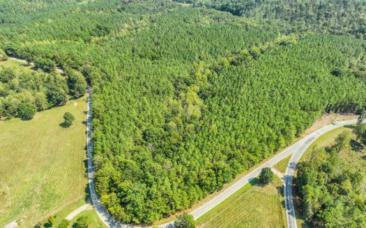 50 Wooded Acres in Scenic Lewis County, TN