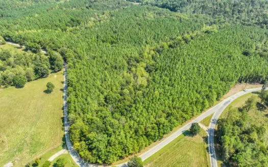 50 Wooded Acres in Scenic Lewis County, TN