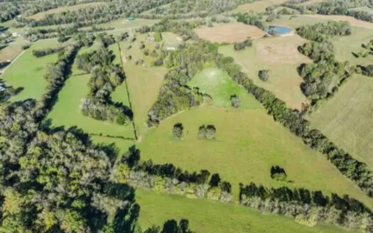 41.43+/- Unrestricted Acres For Sale In Petersburg, TN