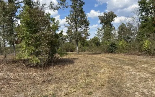 Small acreage for sale in Douglas County MO with No Restrictions