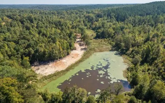 650 Acres Timberland and Lake Site Calhoun County MS
