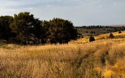 Furnas County Nebraska Farm, Crp & Hunting For Sale