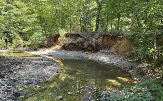 East Texas Hunting/Recreational/Timber Tract For Sale