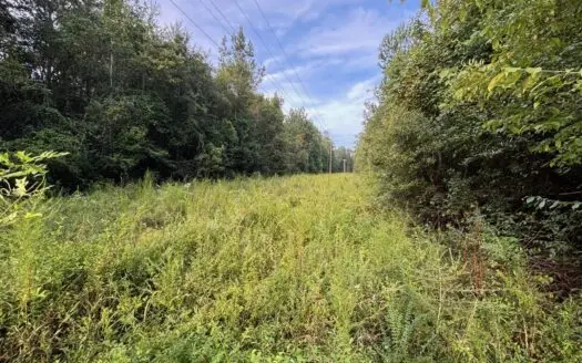 48 Acres for Sale in Jones County, MS Ellisvillle, MS