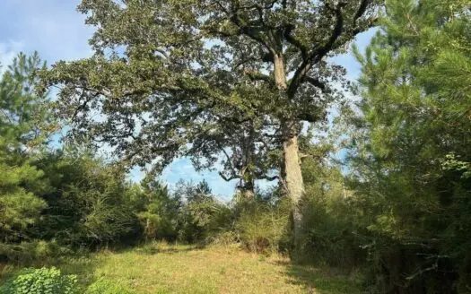 11.5+- Acres North Pike School District