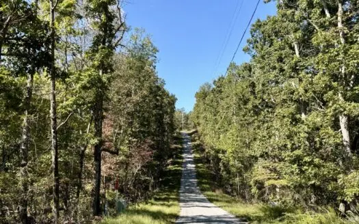 Secluded and Private Lot close to Tennessee River