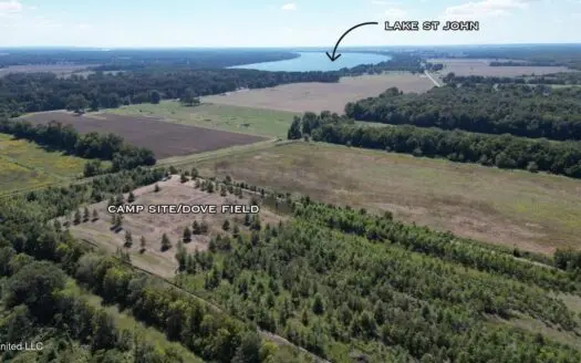 Tensas Parish Land Near Lake St. John – 80 Acres