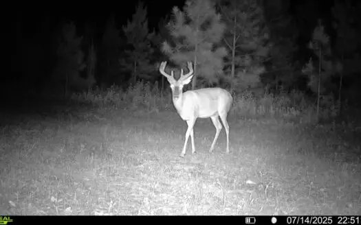 Tract 2 Cumbie RD 11.52 Acres – Cumbie Rd, Grady/Decatur Cty line