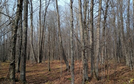 Land for Sale in Glidden, Wisconsin