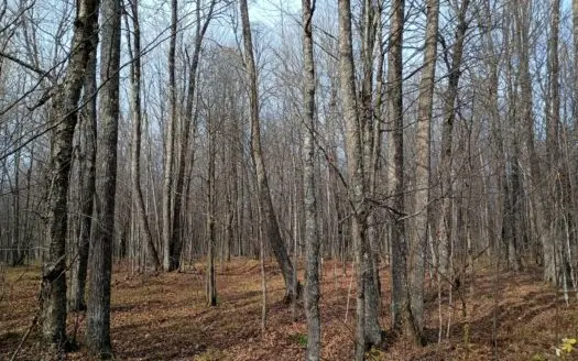 Land for Sale in Glidden, Wisconsin