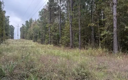 “13.09 Wooded Acres on MC 35 – Prime Land with Power Available !!