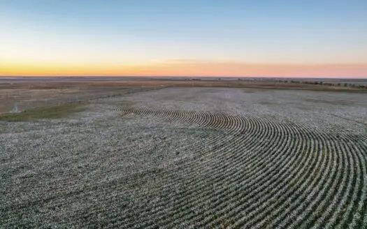 Thompson Half Circle CR 322 In Lamb County, TX!