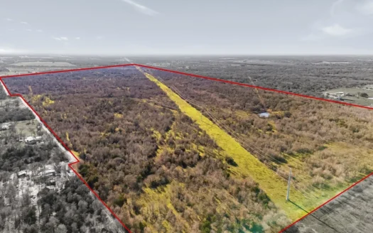 205 Acres in Caldwell County, TX