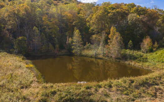 130 Acre Farm for sale in Blackwater Virginia