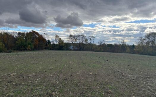 18.91 Acres Wooded Lot, Knox County