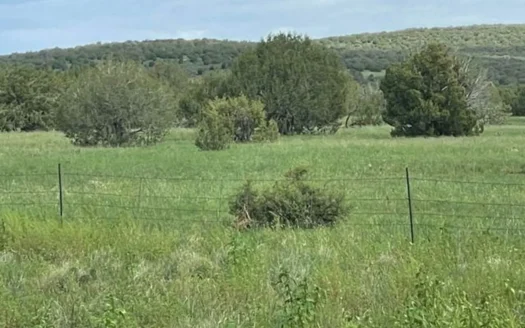 Lot 51E — Build Yr Home on Route 66 — 10 Acres