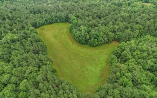 Rare Hunting Tract for Sale in Forrest County, MS