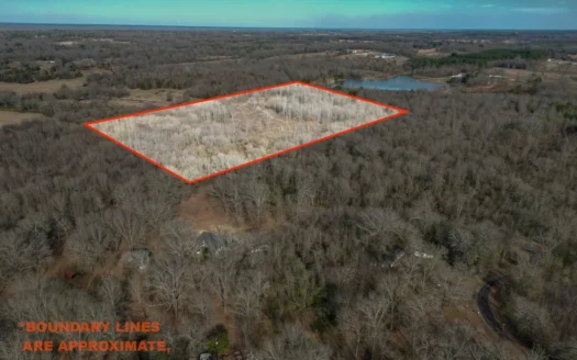 Texas Timberland For Sale