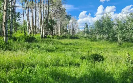 Coorado Hunting and Recreation Acreage