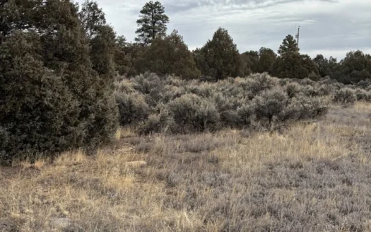 Northern New Mexico Land for Sale near Heron Lake
