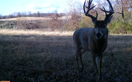 Northern Missouri Combo Farm! Grundy/Sullivan County Line