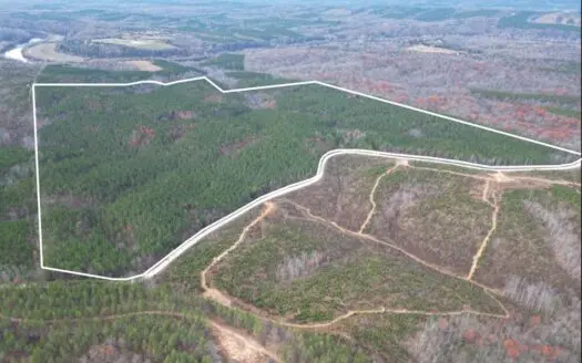 Prime 222 Acre Investment:Timber, Recreation & James River Access