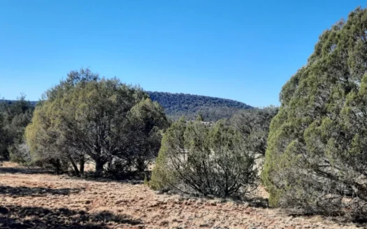 Remote Northern Arizona off grid property.