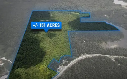 East Union Ridge: +/-156 Acres of Hill Country Timberland