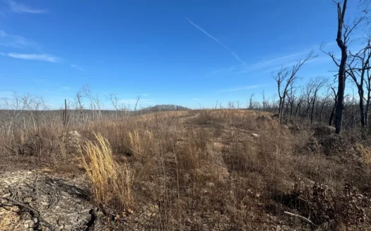 Secluded Land for Sale in Pulaski County, MO