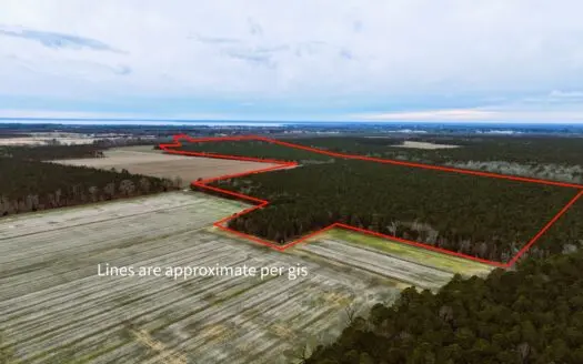 Chowan County Hunting And Timber Property For Sale